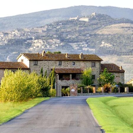 Villa Toscana La Mucchia Cortona Zewnętrze zdjęcie
