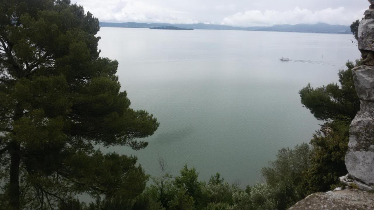 Villa Toscana La Mucchia Cortona Zewnętrze zdjęcie
