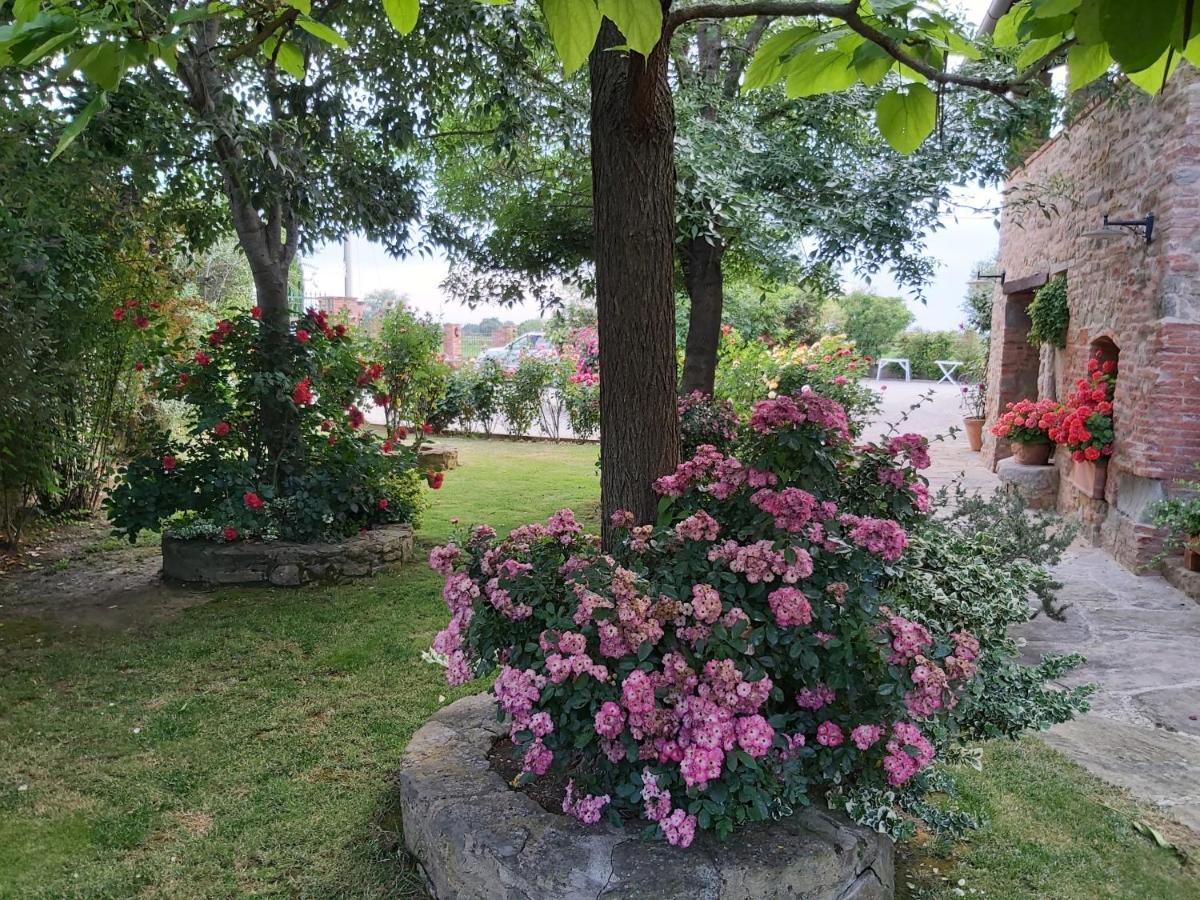 Villa Toscana La Mucchia Cortona Zewnętrze zdjęcie