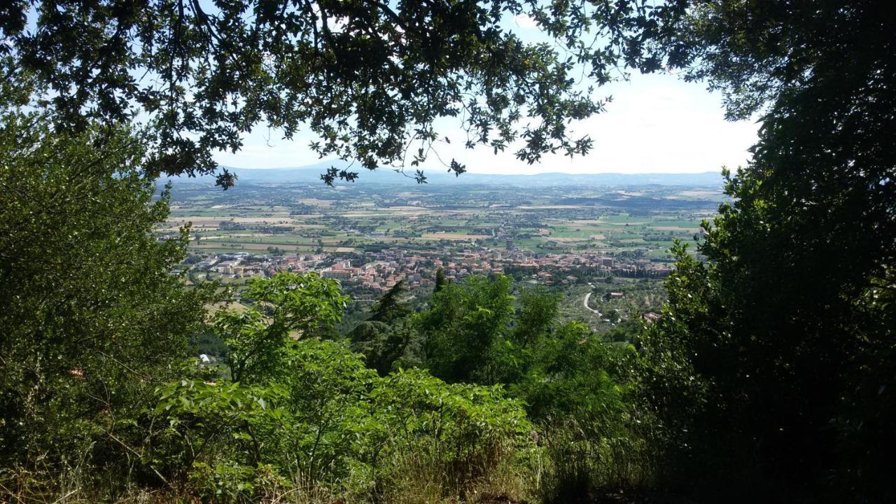 Villa Toscana La Mucchia Cortona Zewnętrze zdjęcie