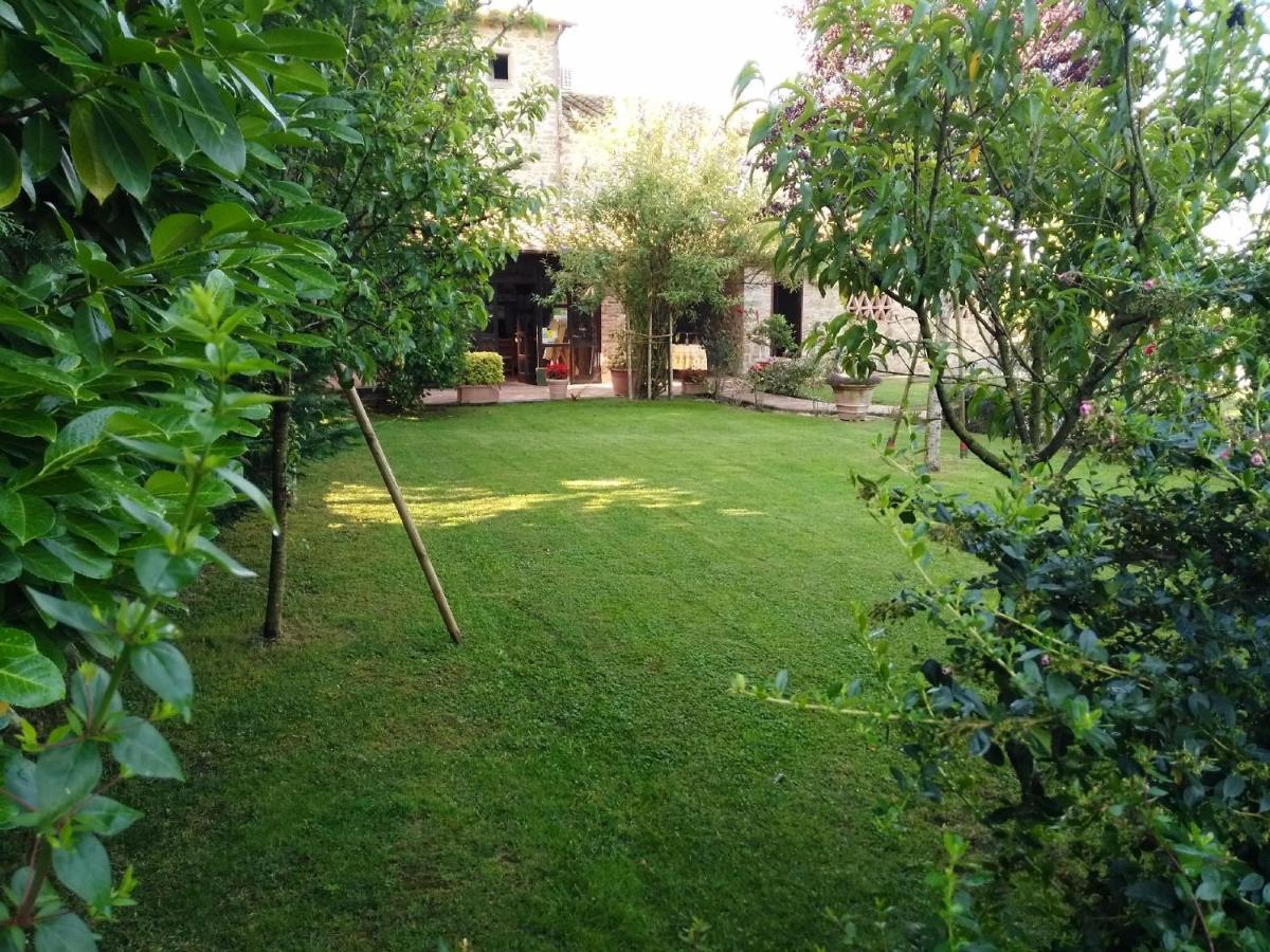 Villa Toscana La Mucchia Cortona Zewnętrze zdjęcie