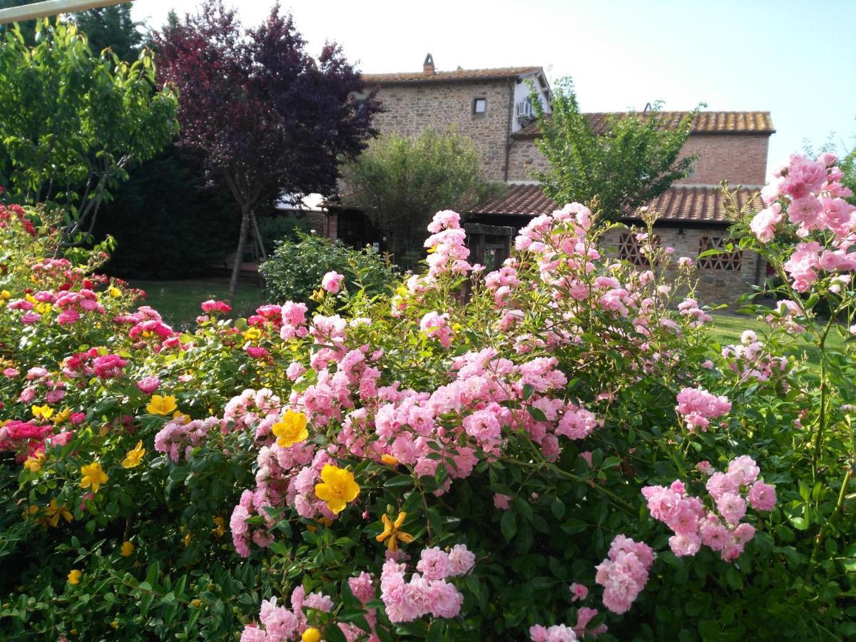 Villa Toscana La Mucchia Cortona Zewnętrze zdjęcie