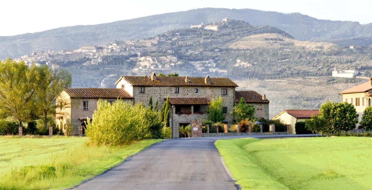 Villa Toscana La Mucchia Cortona Zewnętrze zdjęcie