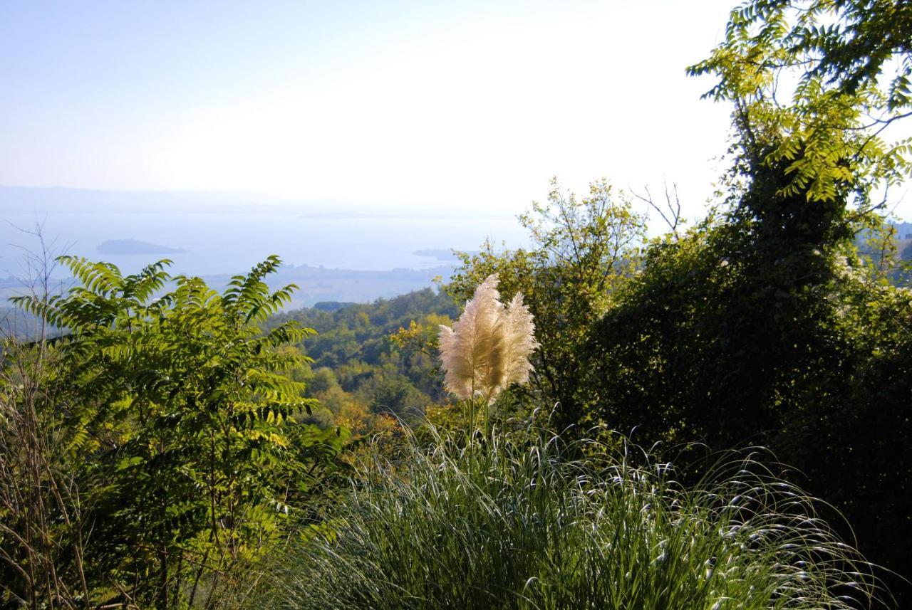 Villa Toscana La Mucchia Cortona Zewnętrze zdjęcie