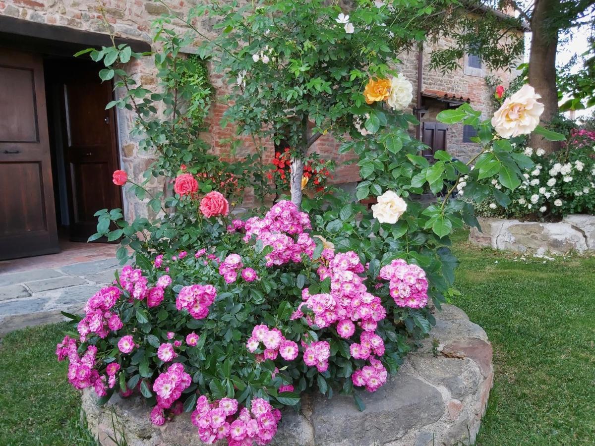 Villa Toscana La Mucchia Cortona Zewnętrze zdjęcie
