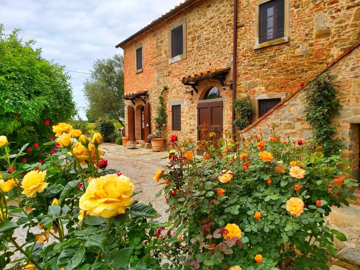 Villa Toscana La Mucchia Cortona Zewnętrze zdjęcie