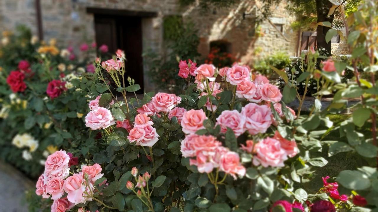 Villa Toscana La Mucchia Cortona Zewnętrze zdjęcie