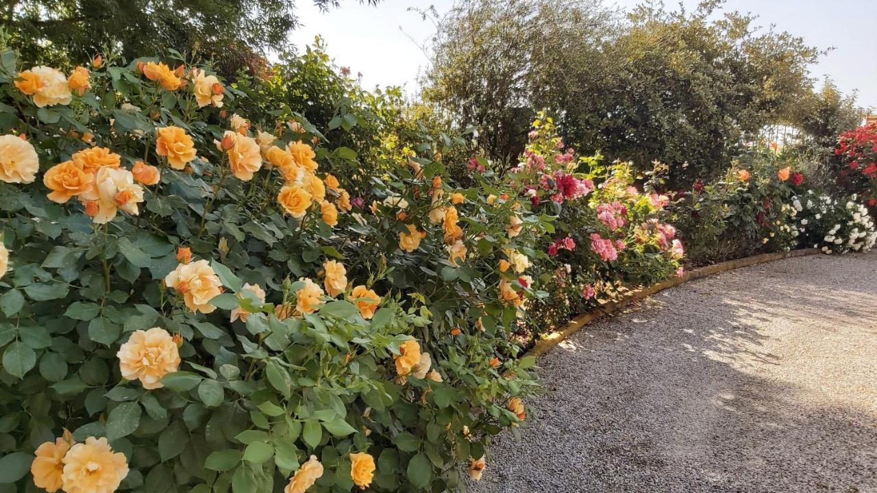 Villa Toscana La Mucchia Cortona Zewnętrze zdjęcie