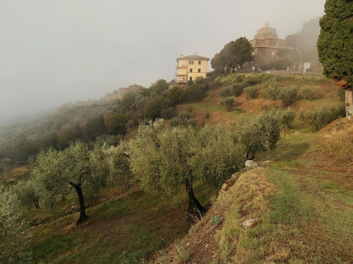Villa Toscana La Mucchia Cortona Zewnętrze zdjęcie